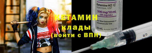 гашик Алексин