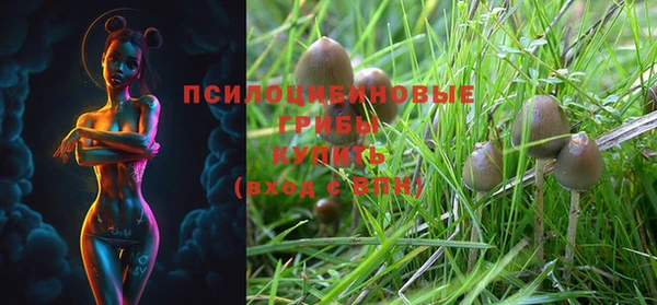 марки nbome Алзамай