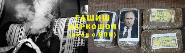 гашик Алексин