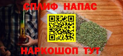 индика Сланцы