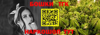 индика Сланцы