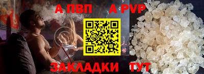 индика Сланцы